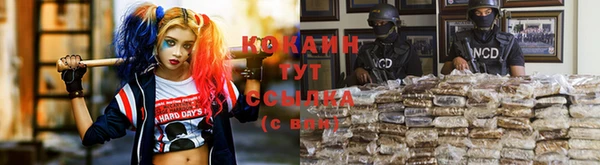 ГАЛЛЮЦИНОГЕННЫЕ ГРИБЫ Дмитров