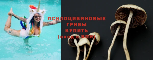 скорость Дмитриев