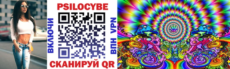 Псилоцибиновые грибы мицелий  Купить закладки  Благодарный 